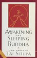 Awakening the Sleeping Buddha-front.jpg