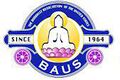 BAUS logo.jpg