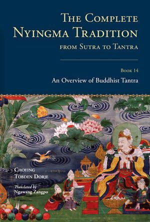 The Complete Nyingma Tradition from Sutra to Tantra, Book 14-front.jpg