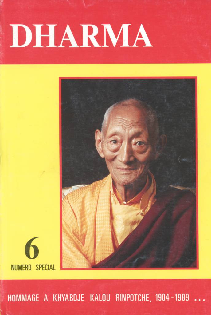 Dharma Institut Karma-Ling Vol. 6 (1989)-front.jpg