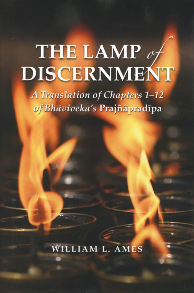 The Lamp of Discernment-front.jpeg