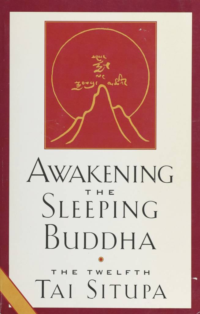 Awakening the Sleeping Buddha-front.jpg