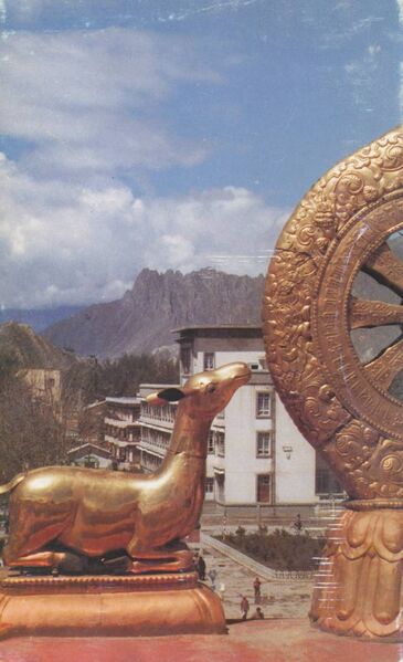 File:100 Questions About Tibet-back.jpg