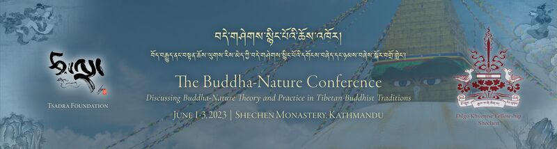File:2023 Buddha-Nature Conference Banner-7-GoldText-Full.jpg