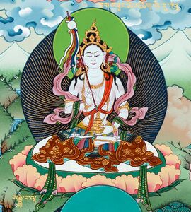 8600 (Mandarava).jpg