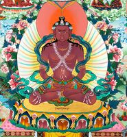 8640 (ChetsunSengeWangchuk).jpg