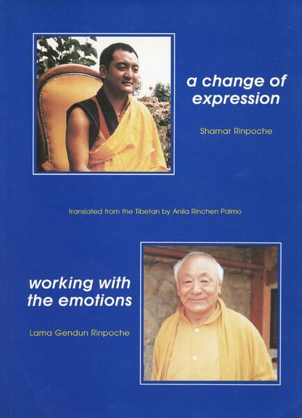 File:A Change of Expression and Working with the Emotions-front.jpg
