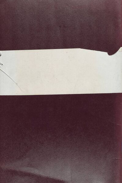 File:A Continuous Rain to Benefit Beings-back.jpg