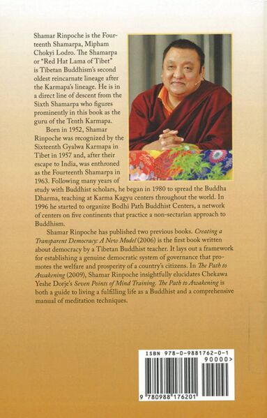 File:A Golden Swan in Turbulent Waters-back.jpg