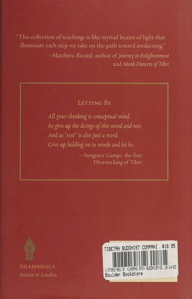 File:A Tibetan Buddhist Companion-back.jpg