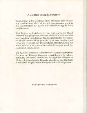 A Treatise on Buddhanature-back.jpg