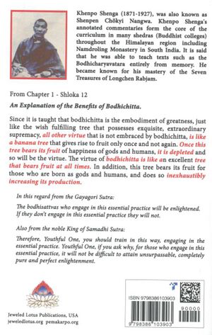 Annotated Commentary Shantideva's Entering the Way of the Bodhisattvas-back.jpg