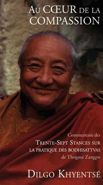 File:Au Cœur de la Compassion-front.jpg