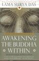Awakening the Buddha Within-front.jpg