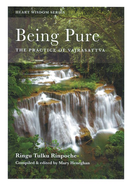 File:Being Pure-front.jpg