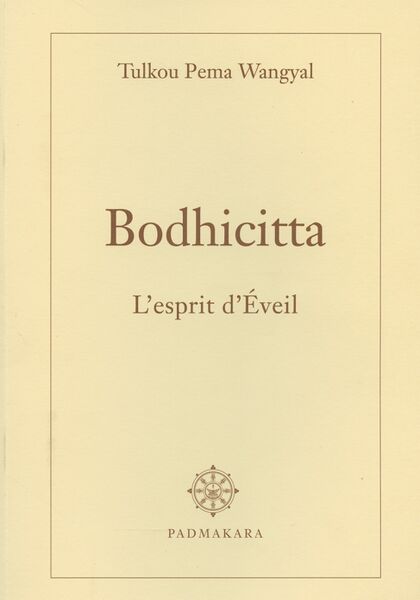 File:Bodhicitta Lesprit dEveil-front.jpg