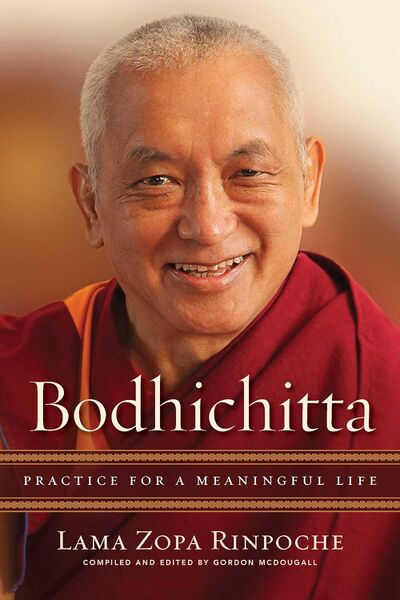 File:Bodhicitta Practice for a Meaningful Life-front.jpg