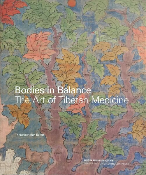 File:Bodies in Balance-front.jpg