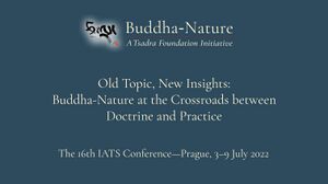 Buddha-Nature Start Tile for IATS Conference.jpg