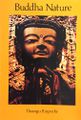 Buddha Nature, Ten Teachings on the Uttaratantra Shastra-front.jpg