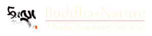Buddha Nature Logo - Light.png