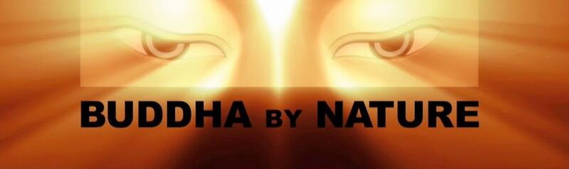 File:Buddha by Nature-logo.jpg