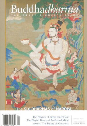 Buddhadharma The Practitioners Quarterly-Vol.22 No. 2 (2024)-front.jpg