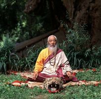 Chatral Rinpoche (tiger skin).jpg