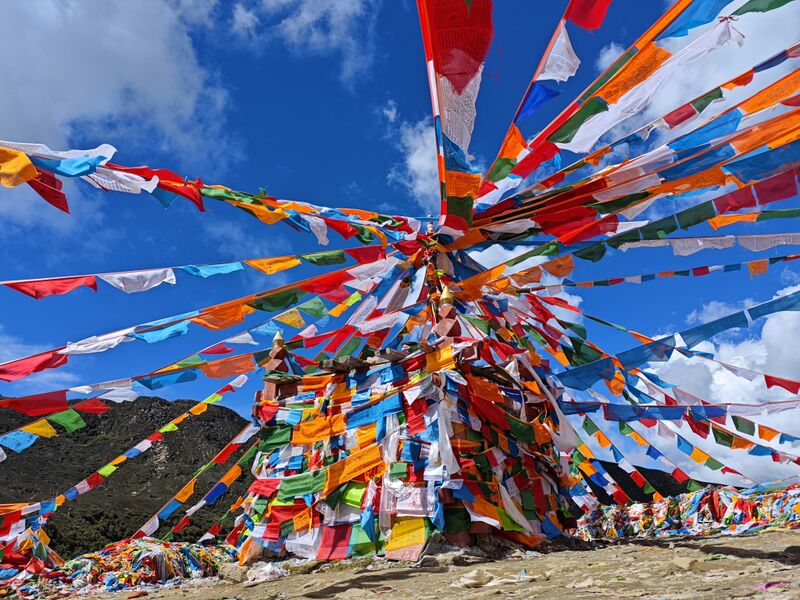 File:Chenhsi-duan-hdcRJM UvwI-unsplash.jpg