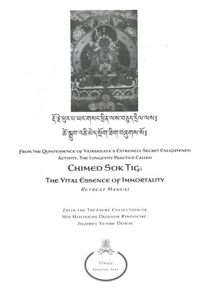 File:Chimed Sok Tig The Vital Essence of Immortality-front.jpeg
