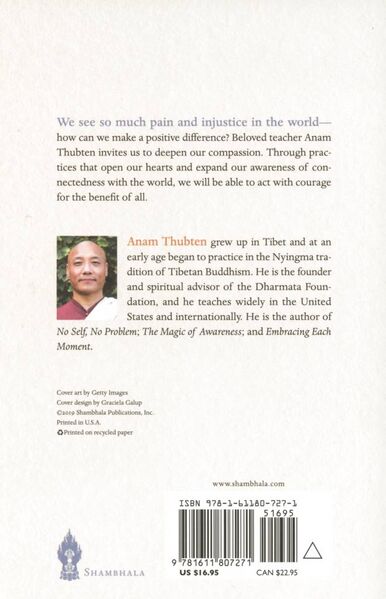 File:Choosing Compassion-back.jpg