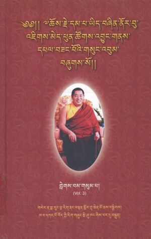 Chos rje dam pa yid bzhin nor bu 'jigs me phun tshogs 'byung gnas dpal bzang po'i gsung 'bum - Vol 3 (2011)-front.jpg