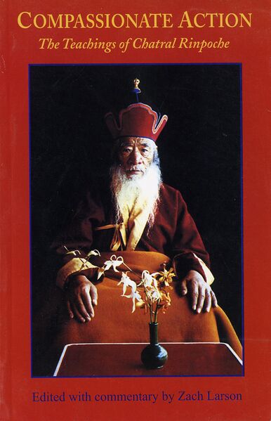 File:Compassionate Action-front.jpg