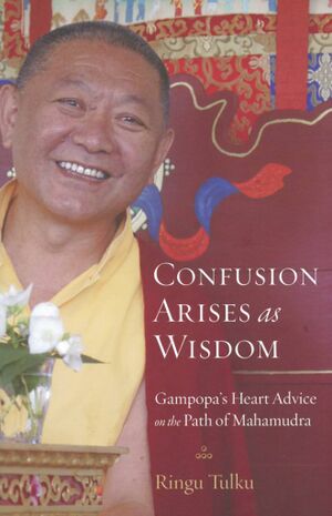 Confusion Arises as Wisdom-front.jpg