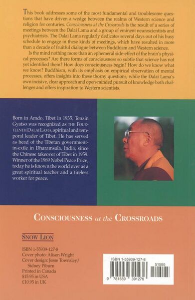 File:Consciousness at the Crossroads-back.jpg