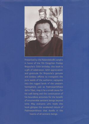 Crazy Wisdom Guru (Dzogchen Ponlop 2016)-back.jpg