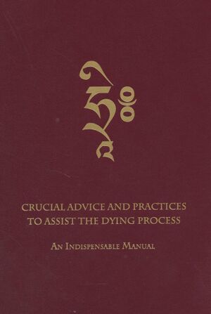 Crucial Advice and Practices to Crucial Advice and Practices to Assist the Dying Process (Light of Berotsana 2020)-front.jpg