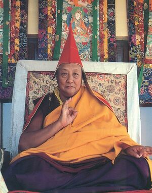 DKR excellpathtoenlightenment.jpeg