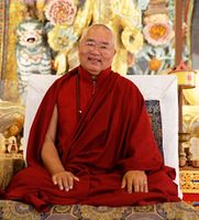 Dagpo Tulku.jpg