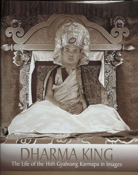 File:Dharma King-front.jpg
