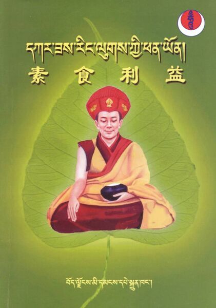 File:Dkar zas ring lugs kyi phan yon-front.jpeg