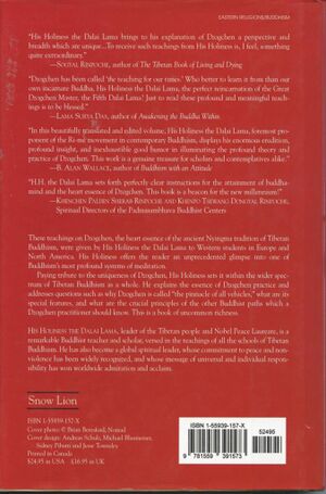 Dzogchen The Heart Essence of the Great Perfection-back.jpg