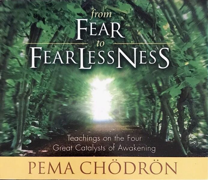 File:From Fear to Fearlessness-front.jpg