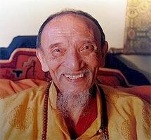 H.E. Chogye Trichen Rinpoche.jpg