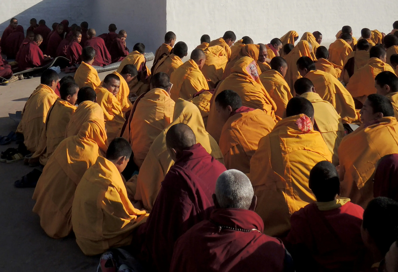 File:Hermann-wittekopf-RMta 5BDTRk-unsplash-cropped.webp