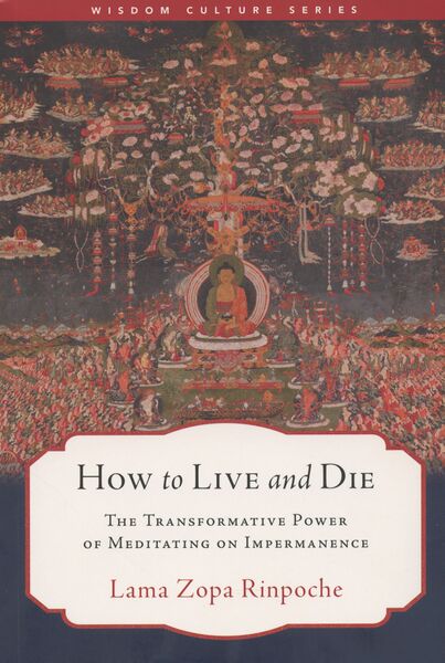 File:How to Live and Die-front.jpg