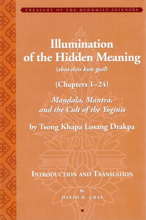 Illumination of the Hidden Meaning-front.jpg