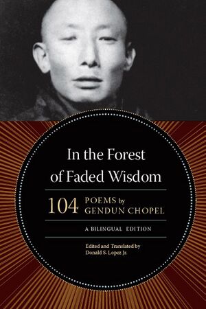 In the Forest of Faded Wisdom-front.jpg