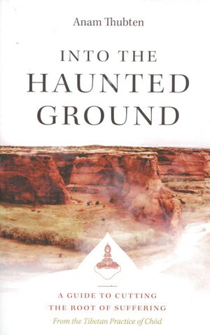 Into The Haunted Ground-front.jpg