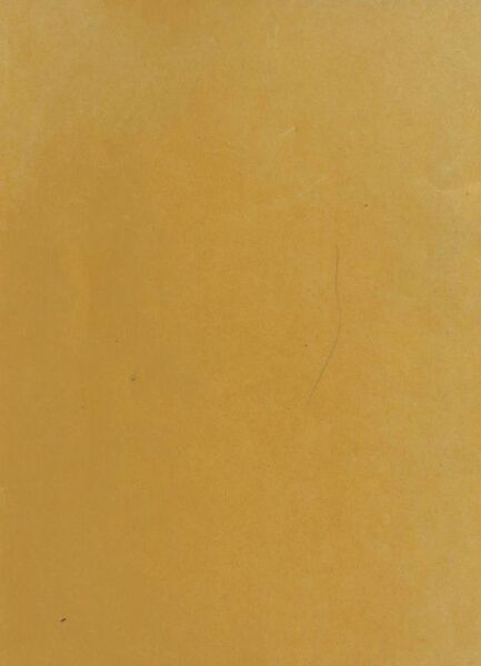 File:Ja chang lha mo'i rtsod gleng bstan bcos-back.jpg